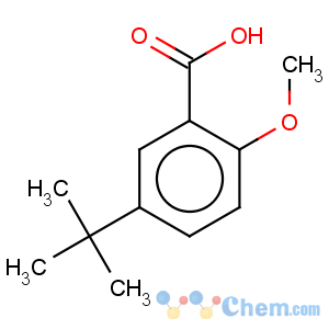 CAS No:73469-54-2 5-tert-Butyl-2-methoxybenzoic acid