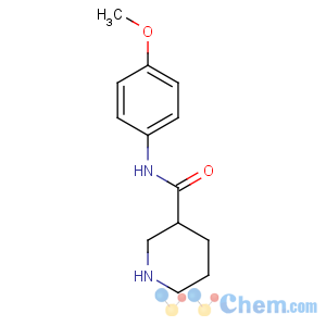 CAS No:735262-21-2 N-(4-methoxyphenyl)piperidine-3-carboxamide