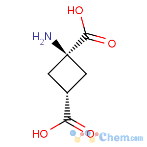 CAS No:73550-55-7 1,3-Cyclobutanedicarboxylicacid, 1-amino-, cis-