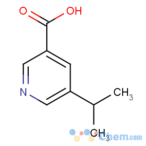 CAS No:73591-69-2 5-propan-2-ylpyridine-3-carboxylic acid