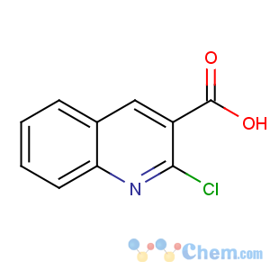 CAS No:73776-25-7 2-chloroquinoline-3-carboxylic acid