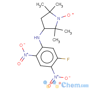 CAS No:73784-45-9 1-Pyrrolidinyloxy,3-[(5-fluoro-2,4-dinitrophenyl)amino]-2,2,5,5-tetramethyl-