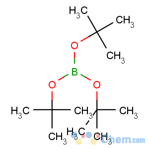 CAS No:7397-43-5 tritert-butyl borate