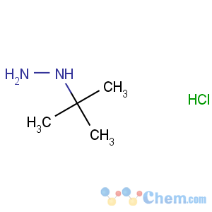 CAS No:7400-27-3 tert-butylhydrazine