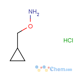 CAS No:74124-04-2 O-(cyclopropylmethyl)hydroxylamine