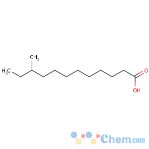 CAS No:7416-57-1 10-methyldodecanoic acid