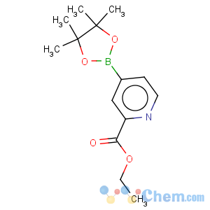 CAS No:741709-56-8 ethyl pyridine-4-boronic acid pinacol ester-2-carboxylate