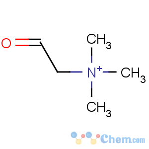 CAS No:7418-61-3 Ethanaminium,N,N,N-trimethyl-2-oxo-