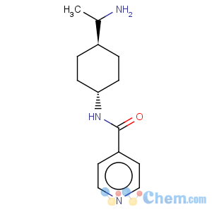 CAS No:742043-06-7 Cyclohexanecarboxamide,4-[(1R)-1-aminoethyl]-N-4-pyridinyl-, trans-