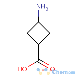 CAS No:74307-75-8 3-aminocyclobutane-1-carboxylic acid