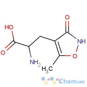 CAS No:74341-63-2 2-amino-3-(5-methyl-3-oxo-1,2-oxazol-4-yl)propanoic acid