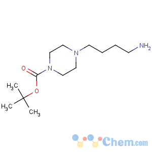CAS No:745048-07-1 1-Piperazinecarboxylicacid, 4-(4-aminobutyl)-, 1,1-dimethylethyl ester