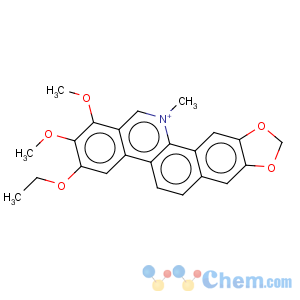 CAS No:7451-89-0 9-Ethoxychelerythrine