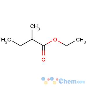 CAS No:7452-79-1 ethyl 2-methylbutanoate