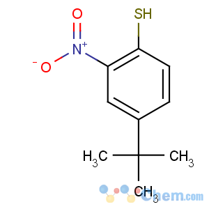CAS No:74752-38-8 4-tert-butyl-2-nitrobenzenethiol
