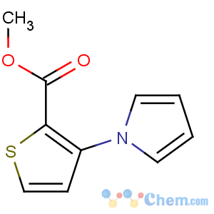 CAS No:74772-16-0 methyl 3-pyrrol-1-ylthiophene-2-carboxylate