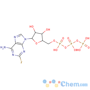 CAS No:74832-57-8 9H-Purin-6-amine,2-fluoro-9-[5-O-[hydroxy[[hydroxy(phosphonooxy)phosphinyl]oxy]phosphinyl]-b-D-arabinofuranosyl]-
