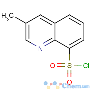 CAS No:74863-82-4 3-methylquinoline-8-sulfonyl chloride