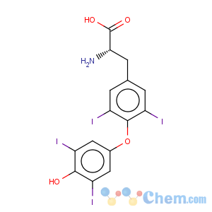 CAS No:7488-70-2 Thyroxine