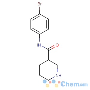 CAS No:749846-52-4 N-(4-bromophenyl)piperidine-3-carboxamide