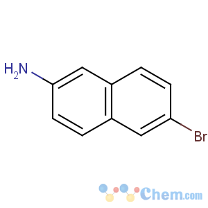 CAS No:7499-66-3 6-bromonaphthalen-2-amine