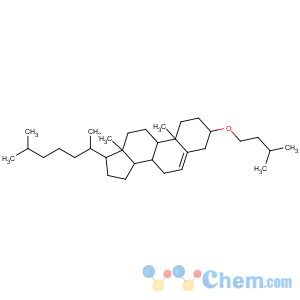 CAS No:74996-30-8 10,13-dimethyl-3-(3-methylbutoxy)-17-(6-methylheptan-2-yl)-2,3,4,7,8,9,<br />11,12,14,15,16,17-dodecahydro-1H-cyclopenta[a]phenanthrene