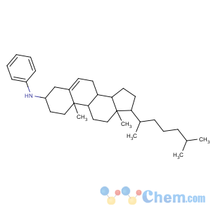 CAS No:7510-04-5 10,13-dimethyl-17-(6-methylheptan-2-yl)-N-phenyl-2,3,4,7,8,9,11,12,14,<br />15,16,17-dodecahydro-1H-cyclopenta[a]phenanthren-3-amine