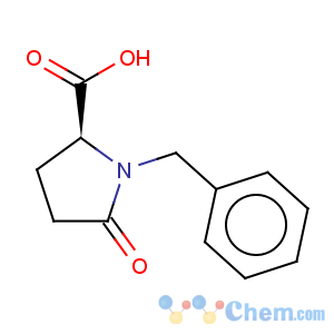 CAS No:7535-59-3 (S)-1-Benzyl-5-Carboxy-2-pyrrolidinone
