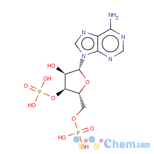 CAS No:75431-54-8 3'-Adenylic acid,5'-(dihydrogen phosphate), disodium salt (9CI)