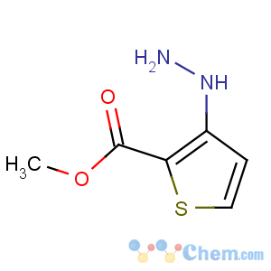 CAS No:75681-13-9 methyl 3-hydrazinylthiophene-2-carboxylate