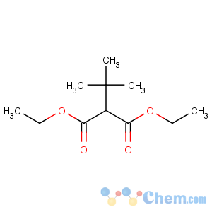 CAS No:759-24-0 diethyl 2-tert-butylpropanedioate