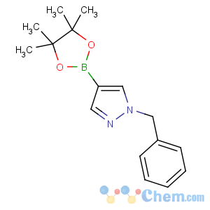 CAS No:761446-45-1 1-benzyl-4-(4,4,5,5-tetramethyl-1,3,2-dioxaborolan-2-yl)pyrazole