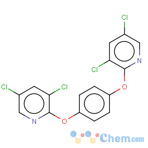 CAS No:76150-91-9 Pyridine,2,2'-[1,4-phenylenebis(oxy)]bis[3,5-dichloro-
