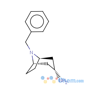 CAS No:76272-35-0 8-Benzyl-3a-amino-1aH,5aH-nortropane