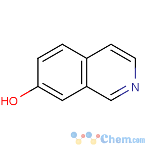 CAS No:7651-83-4 isoquinolin-7-ol