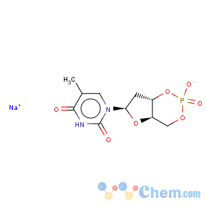 CAS No:76567-90-3 Thymidine, cyclic3',5'-(hydrogen phosphate), monosodium salt (9CI)
