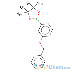 CAS No:765908-38-1 2-(3-benzyloxyphenyl)-4,4,5,5-tetramethyl-1,3,2-dioxaborolane