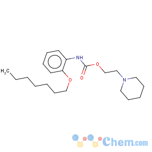 CAS No:76629-85-1 Heptacaine