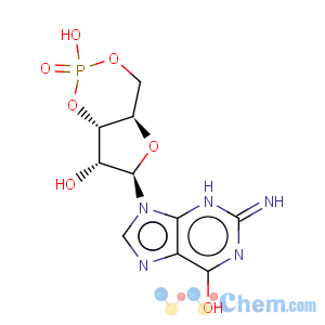 CAS No:7665-99-8 Caged cGMP