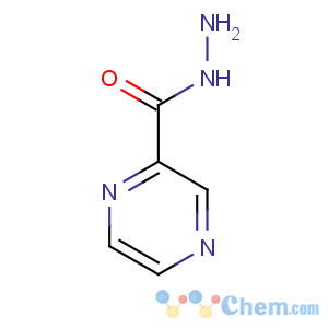 CAS No:768-05-8 pyrazine-2-carbohydrazide
