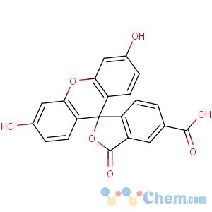 CAS No:76823-03-5 3',6'-dihydroxy-3-oxospiro[2-benzofuran-1,9'-xanthene]-5-carboxylic acid