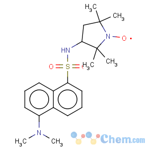 CAS No:76841-99-1 5-dimethylamino-N-[(3S)-1-hydroxy-2,2,5,5-tetramethyl-pyrrolidin-3-yl]naphthalene-1-sulfonamide