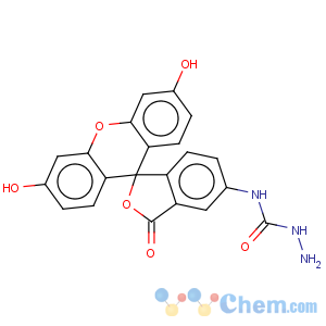 CAS No:76863-28-0 Hydrazinecarbothioamide,N-(3',6'-dihydroxy-3-oxospiro[isobenzofuran-1(3H),9'-[9H]xanthen]-5-yl)-