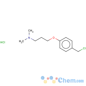 CAS No:769123-68-4 1-Propanamine,3-[4-(chloromethyl)phenoxy]-N,N-dimethyl-, hydrochloride (1:1)