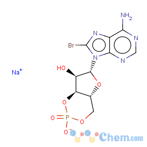 CAS No:76939-46-3 Adenosine, 8-bromo-,cyclic 3',5'-(hydrogen phosphate), monosodium salt (9CI)