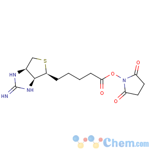 CAS No:76939-67-8 2,5-Pyrrolidinedione,1-[[5-[(3aS,4S,6aR)-2-amino-3a,4,6,6a-tetrahydro-1H-thieno[3,4-d]imidazol-4-yl]-1-oxopentyl]oxy]-,hydrobromide (1:1)