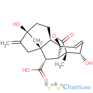 CAS No:77-06-5 Gibberellic acid