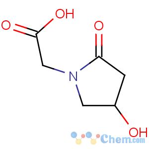 CAS No:77191-37-8 2-(4-hydroxy-2-oxopyrrolidin-1-yl)acetic acid