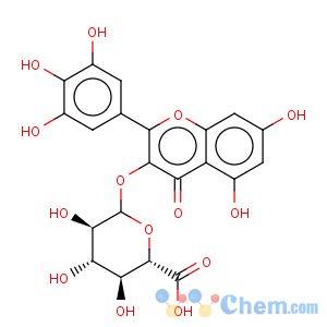 CAS No:77363-65-6 b-D-Glucopyranosiduronic acid,5,7-dihydroxy-4-oxo-2-(3,4,5-trihydroxyphenyl)-4H-1-benzopyran-3-yl