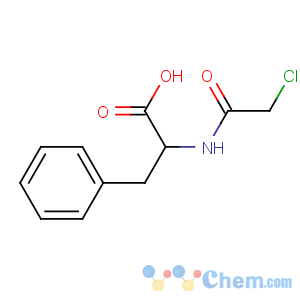 CAS No:7765-11-9 2-[(2-chloroacetyl)amino]-3-phenylpropanoic acid